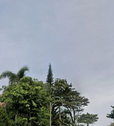 Jalan Kelulut (D28), Semi-Detached #548369901